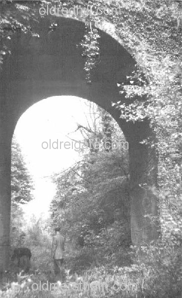 Image number 3062&prevurl=publishers218