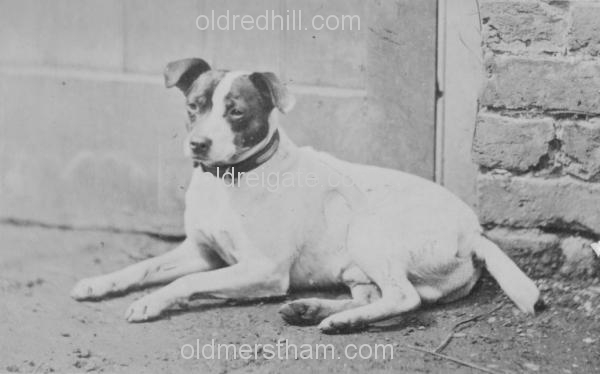 Image number 43&prevurl=alanrichardson