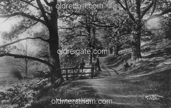Image number 4753&prevurl=publishers182