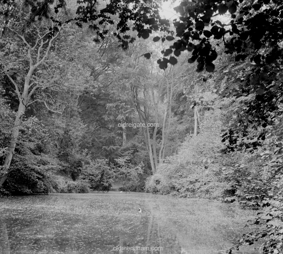 Image number 7191&prevurl=publishers336
