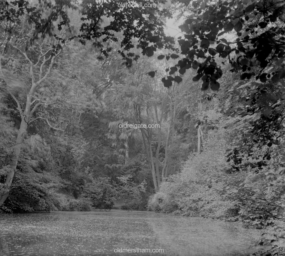 Image number 7192&prevurl=publishers336