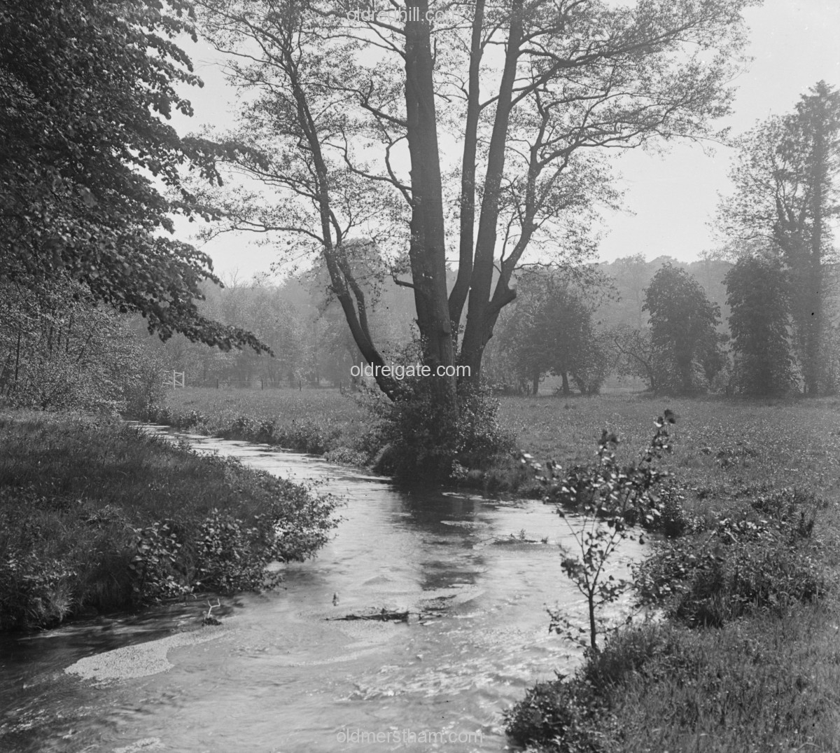 Image number 7193&prevurl=publishers336