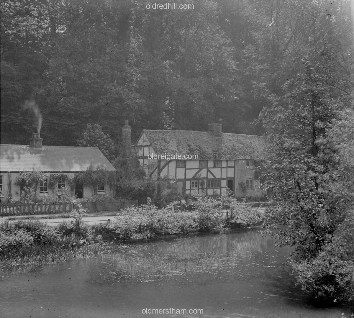 Image number 7194&prevurl=publishers336