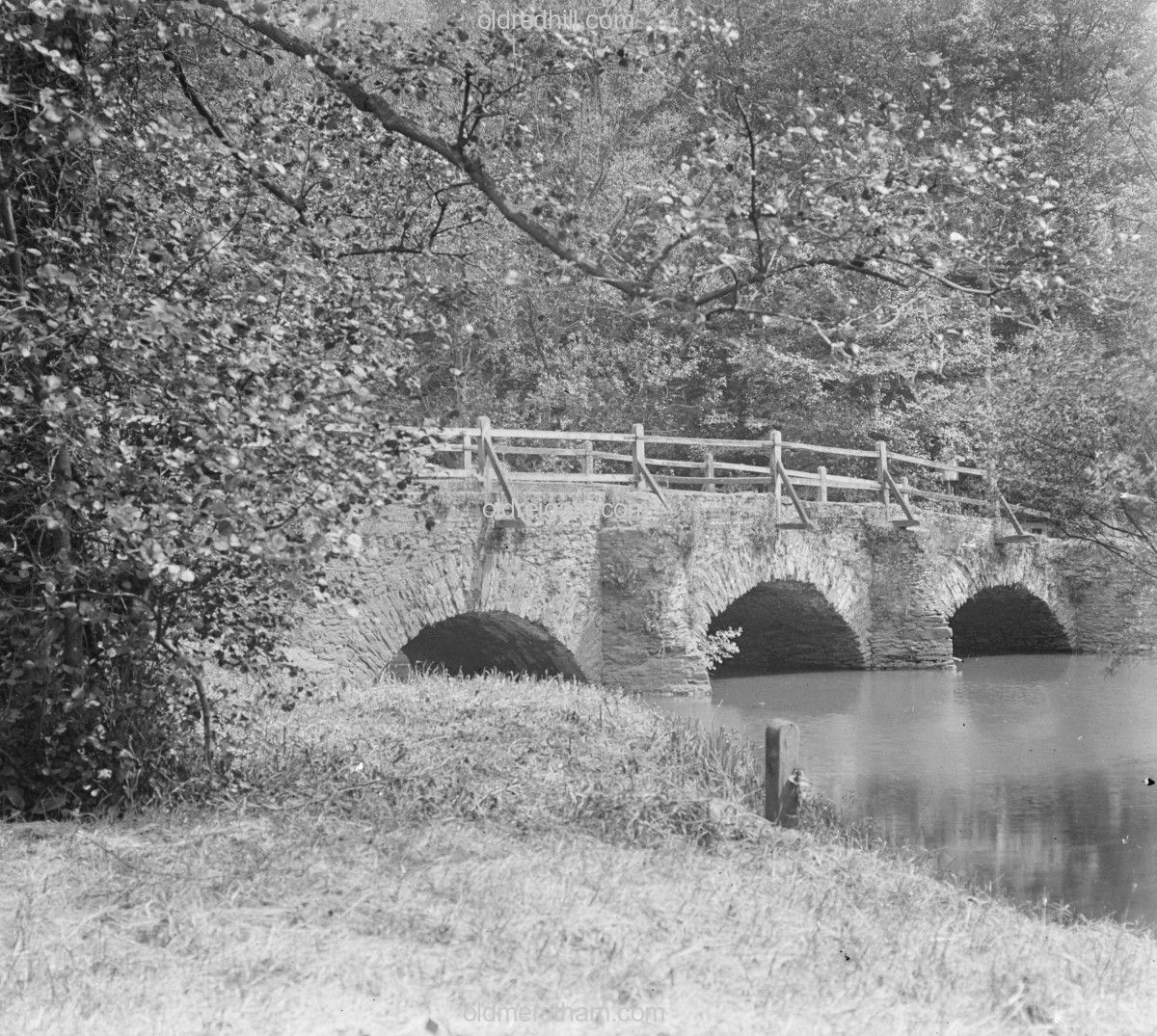 Image number 7196&prevurl=publishers336